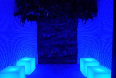 Immune System Support