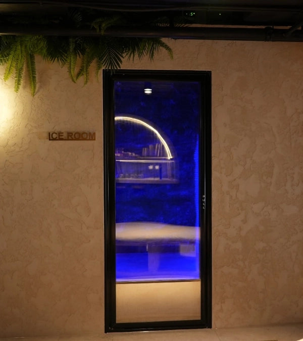 The Revive Ice Room Experience
